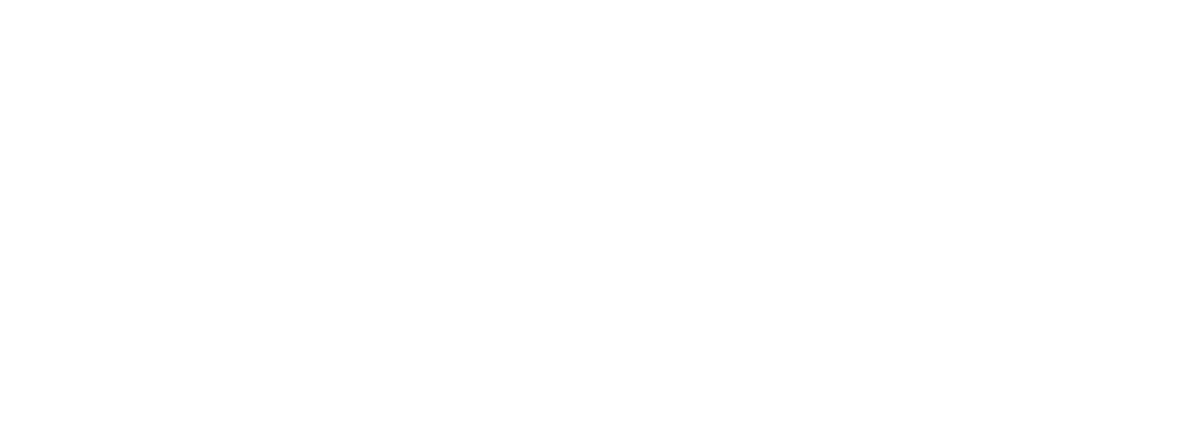 foptics MY